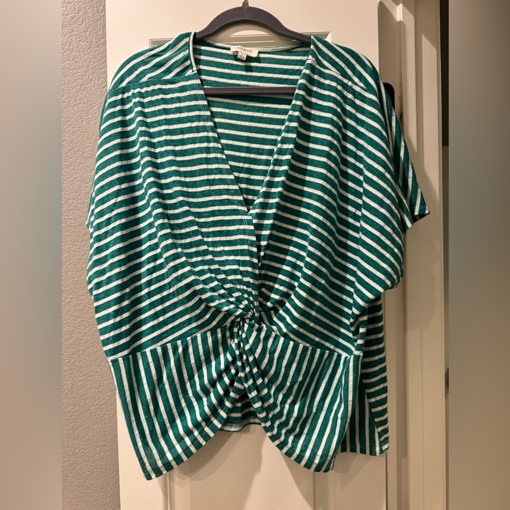 Umgee Green and White Striped Blouse